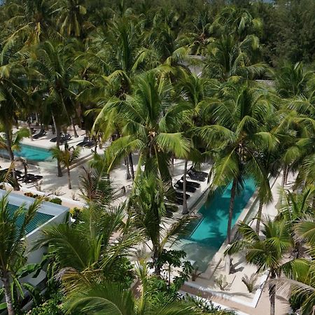 The Oasis Residence Jambiani  Ngoại thất bức ảnh